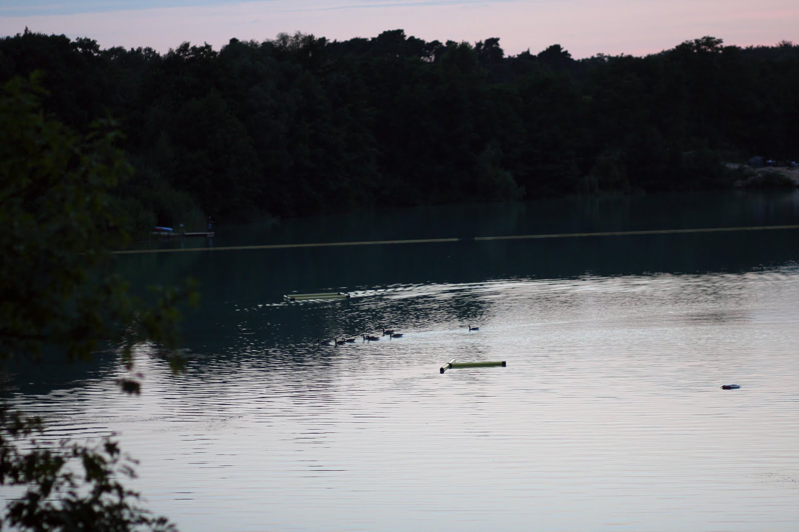 Abendstimmung am See mit schwimmenden Enten